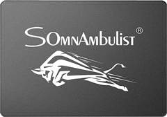 Somnambulist H650 2TB SSD 2.5
